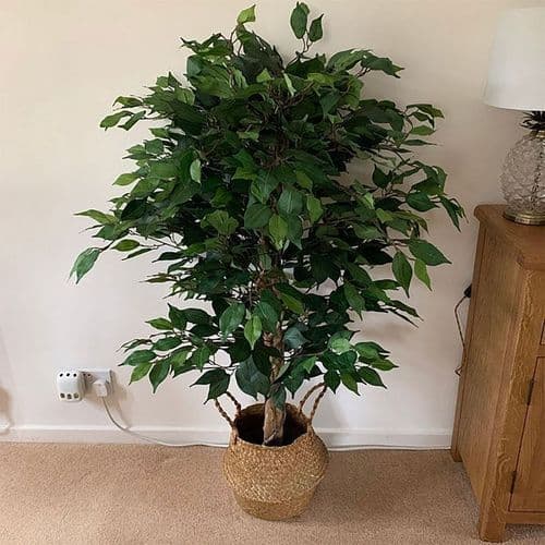 image-120cm Artificial Ficus Tree and Plant Large Bushy Shape