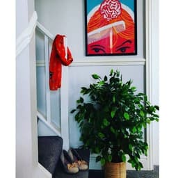 image-120cm Artificial Ficus Tree and Plant Large Bushy Shape