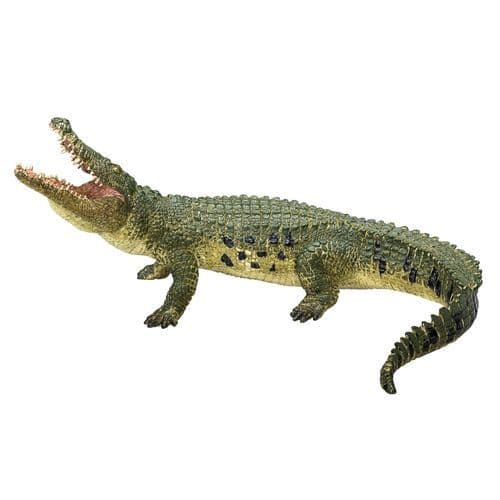 image-Crocodile with Articulated Jaw Realistic Reptile Model