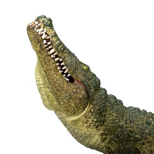 image-Crocodile with Articulated Jaw Realistic Reptile Model