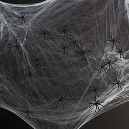 image-PACK OF 2 Pack of 24 Spooky Black Plastic Spiders 5cm Halloween Party Novelty Decorations