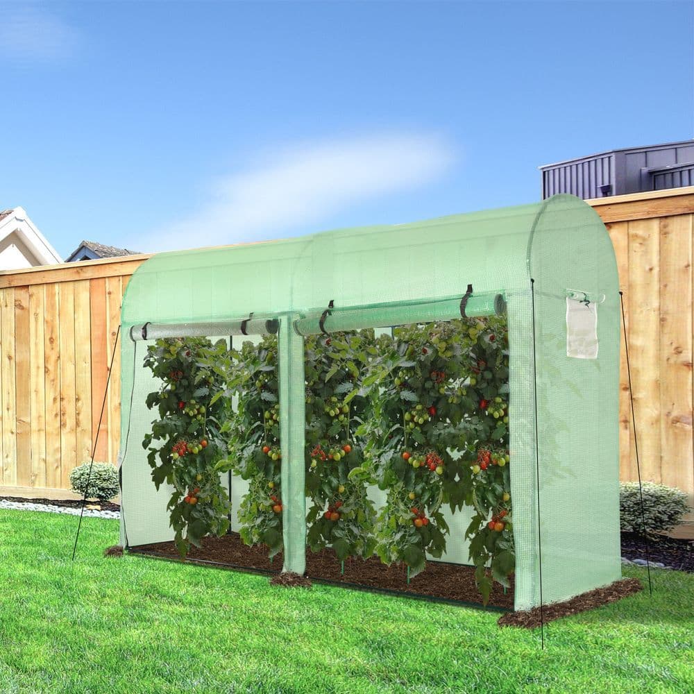 image-Plant Tomato Growth Greenhouse Double Doors & 4 Windows 3Lx1Wx2Hm