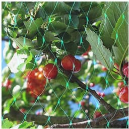 image-Garden Netting Versatile Fine Mesh for Outdoor Plants Bird Protection 4m x 10m
