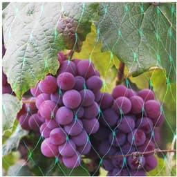 image-Garden Netting Versatile Fine Mesh for Outdoor Plants Bird Protection 4m x 10m