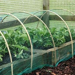 image-6x Anti Bird Garden Netting Pond Net Protection Plants Veg Crops Fruit Fine Mesh 2M X 10M