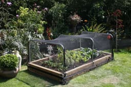 image-6x Anti Bird Garden Netting Pond Net Protection Plants Veg Crops Fruit Fine Mesh 2M X 10M