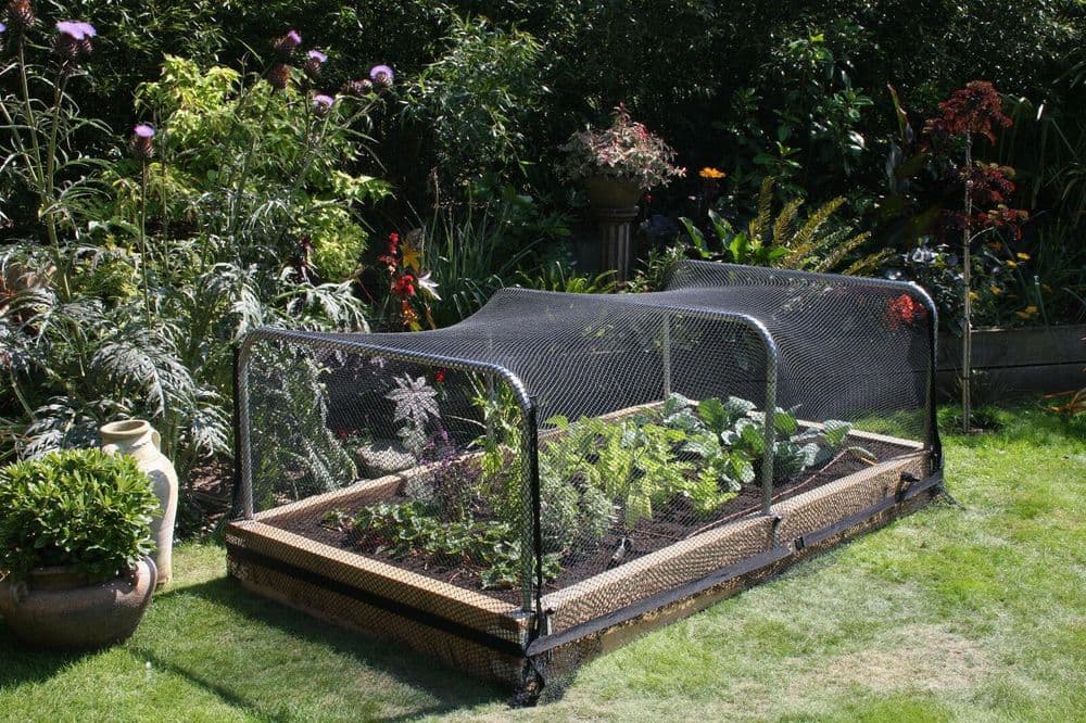image-6x Anti Bird Garden Netting Pond Net Protection Plants Veg Crops Fruit Fine Mesh 2M X 10M