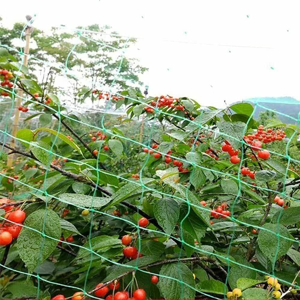 image-6x Anti Bird Garden Netting Pond Net Protection Plants Veg Crops Fruit Fine Mesh 2M X 10M