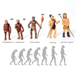 image-SamKaLa Evolutionary Human Models - Educational Prehistoric Figurine Set