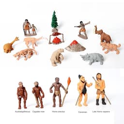 image-SamKaLa Evolutionary Human Models - Educational Prehistoric Figurine Set