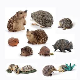 image-SamKaLa Hedgehog Spiny Anteater Figurines - Realistic Wildlife Model Toys
