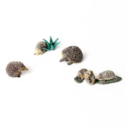 image-SamKaLa Hedgehog Spiny Anteater Figurines - Realistic Wildlife Model Toys