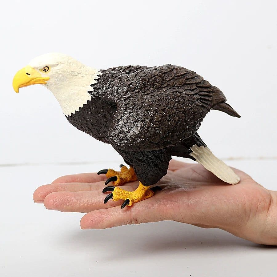 image-UTOMY Realistic Birds of Prey Figurines - Educational PVC Models Set