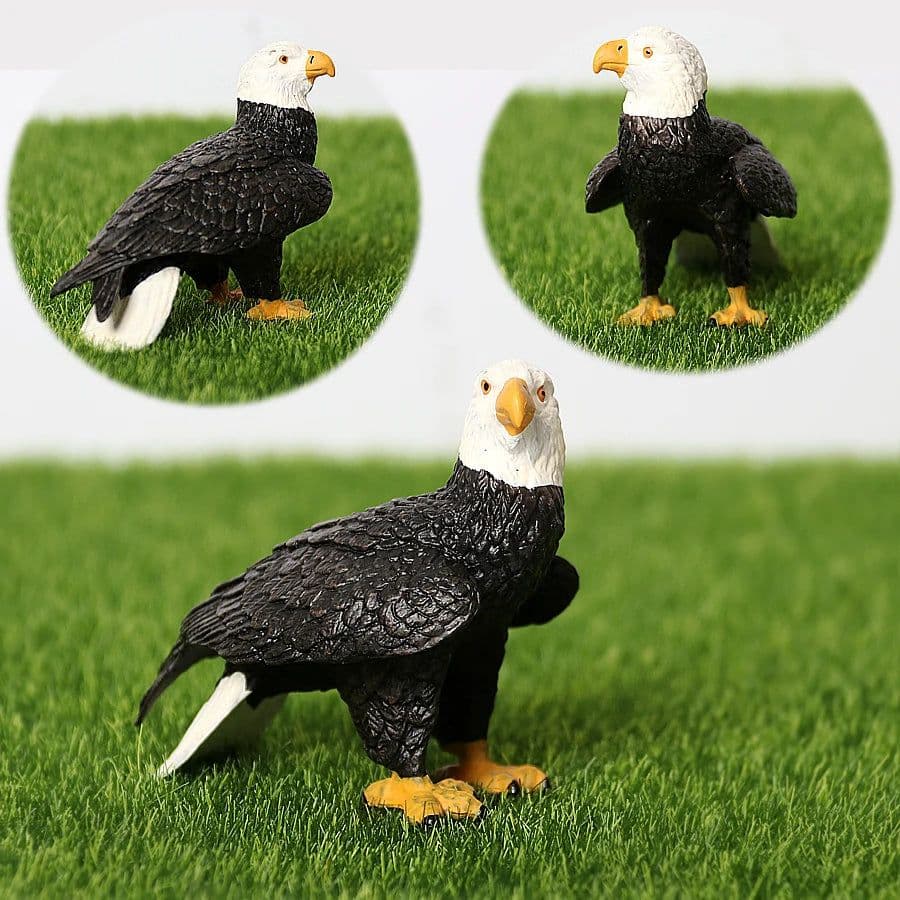 image-UTOMY Realistic Birds of Prey Figurines - Educational PVC Models Set