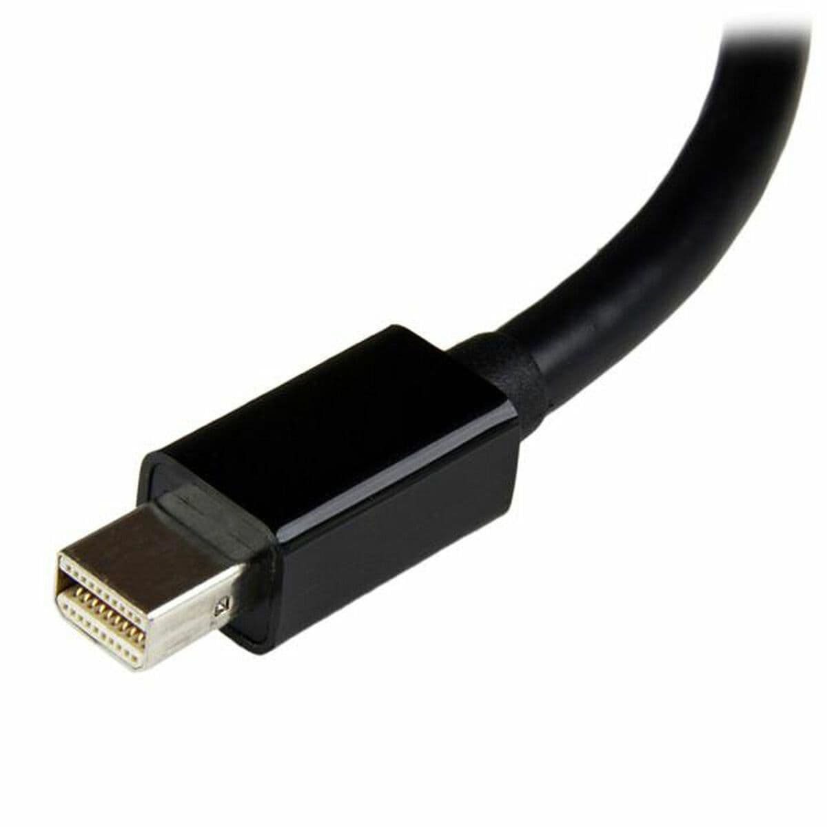 image-Mini DisplayPort to DVI Adapter Startech V932294 Black