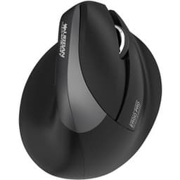 image-Wireless Mouse Urban Factory ERGO PRO 4000 dpi Black