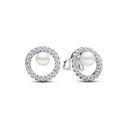 image-Ladies' Earrings Pandora 293154C01