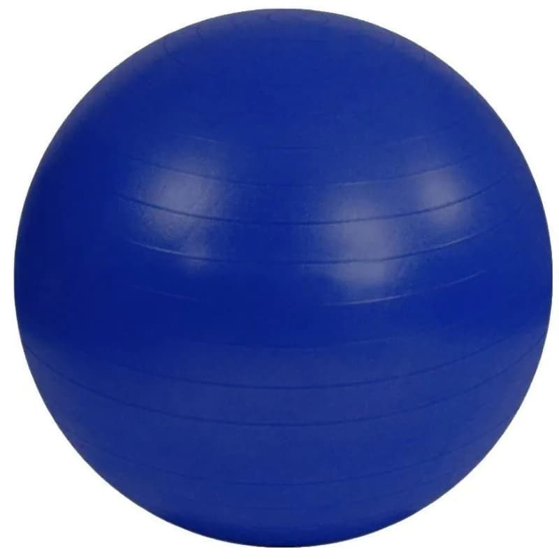 image-Anti-Burst gymnastics ball S825760