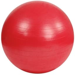 image-Anti-Burst gymnastics ball S825760