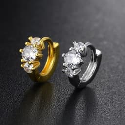 image-Stainless Steel Hoop Earring Women Zirconia Crystal Piercing Ear Daith
