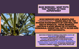 image-Acai Berry Immunity Plus