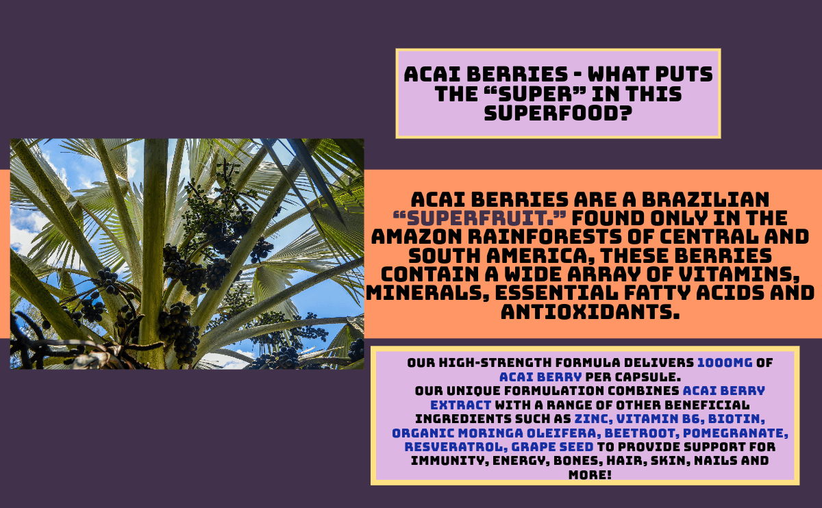 image-Acai Berry Immunity Plus