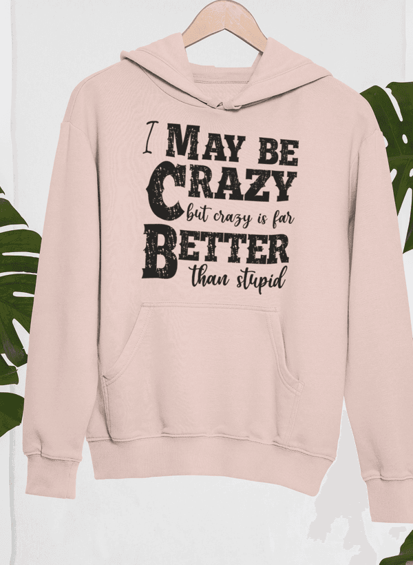 image-I May Be Crazy But Crazy Is Far Better Than Stupid Hoodie