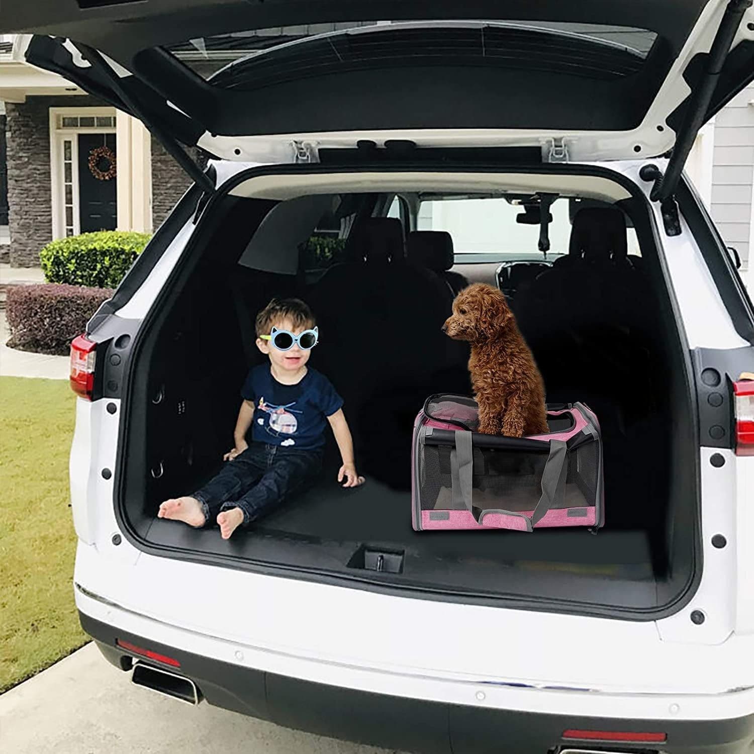 image-Spacious Soft-Sided Pet Carrier