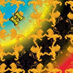 image-SCARF No2 | Chiffon Collection