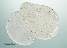 image-CITRON + MANUKA FOAMING SHOWER GEL – with Exfoliating Grains