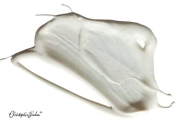 image-Step 1 | MICRO EXFOLIANT GENTLE CRYSTAL FORMULA
