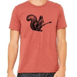 image-Squirrel Playing Guitar