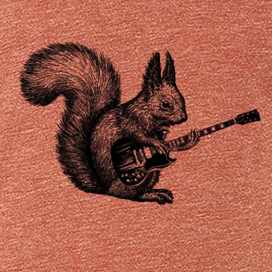 image-Squirrel Playing Guitar