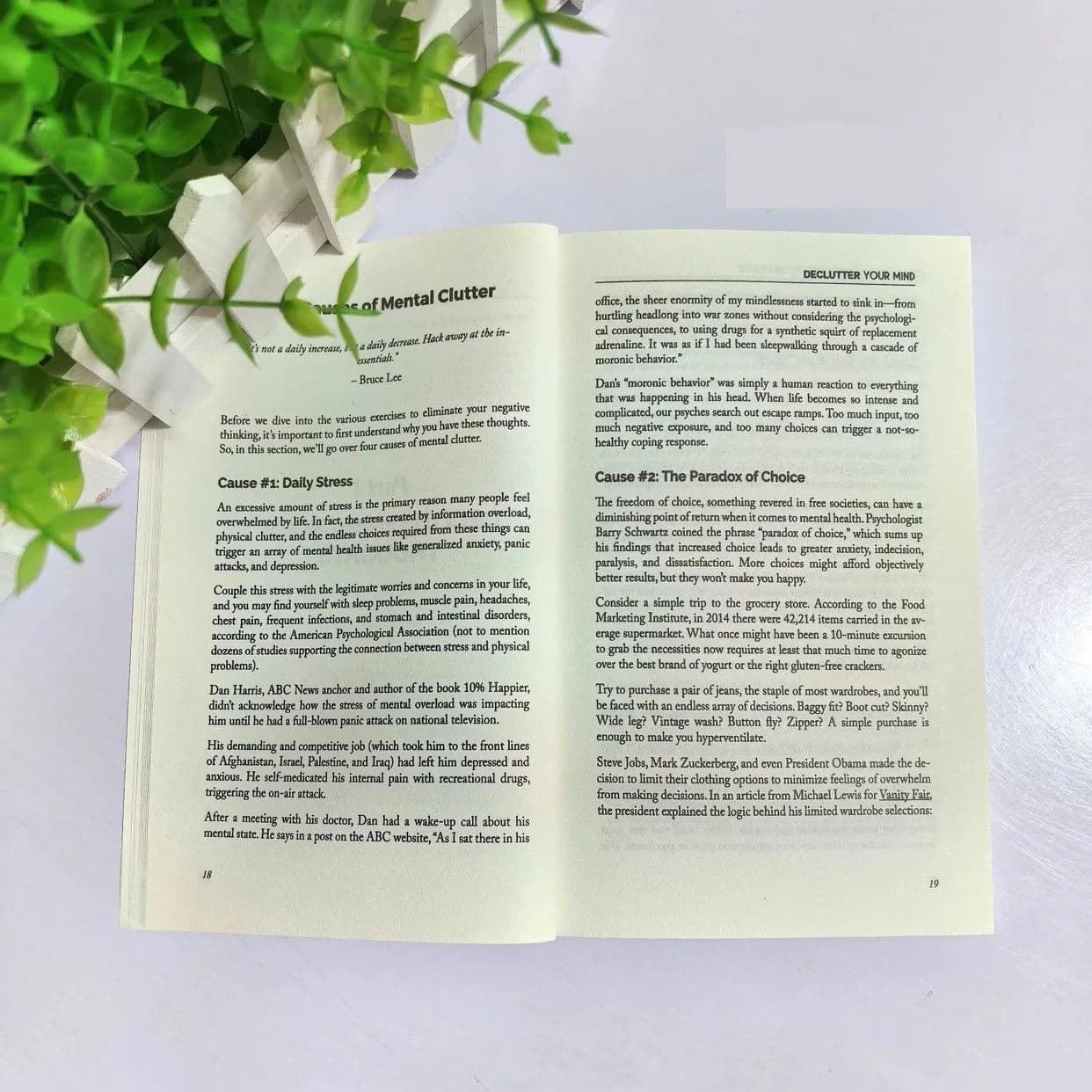 image-Declutter Your Mind : How to Stop Worrying, Relieve Anxiety And Eliminate Negative Thinking English Book