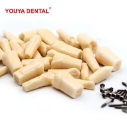 image-28/32pc Dental Teeth Model For Dental Technician Practice Preparation Removable Tooth Compatibly Nissin Dentistry Training Model