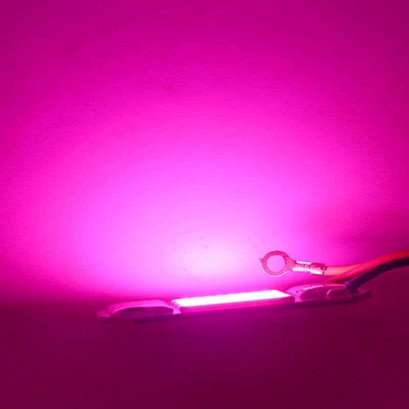 image-LED Grow COB Light Chip Full Spectrum AC 220V 10W 20W 30W 50W No need driver For Growth Flower Seedling Grow Plant Lighting