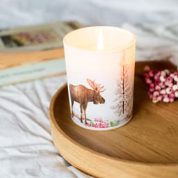 image-Save The Planet Scented Soy Wax Candle: Soothing Tundra
