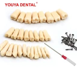 image-28/32pc Dental Teeth Model For Dental Technician Practice Preparation Removable Tooth Compatibly Nissin Dentistry Training Model