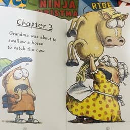 image-15 Books English Usborne Books for Children Kids Picture Books Baby Famous Story The Fly Guy Series Fun Reading Story Book