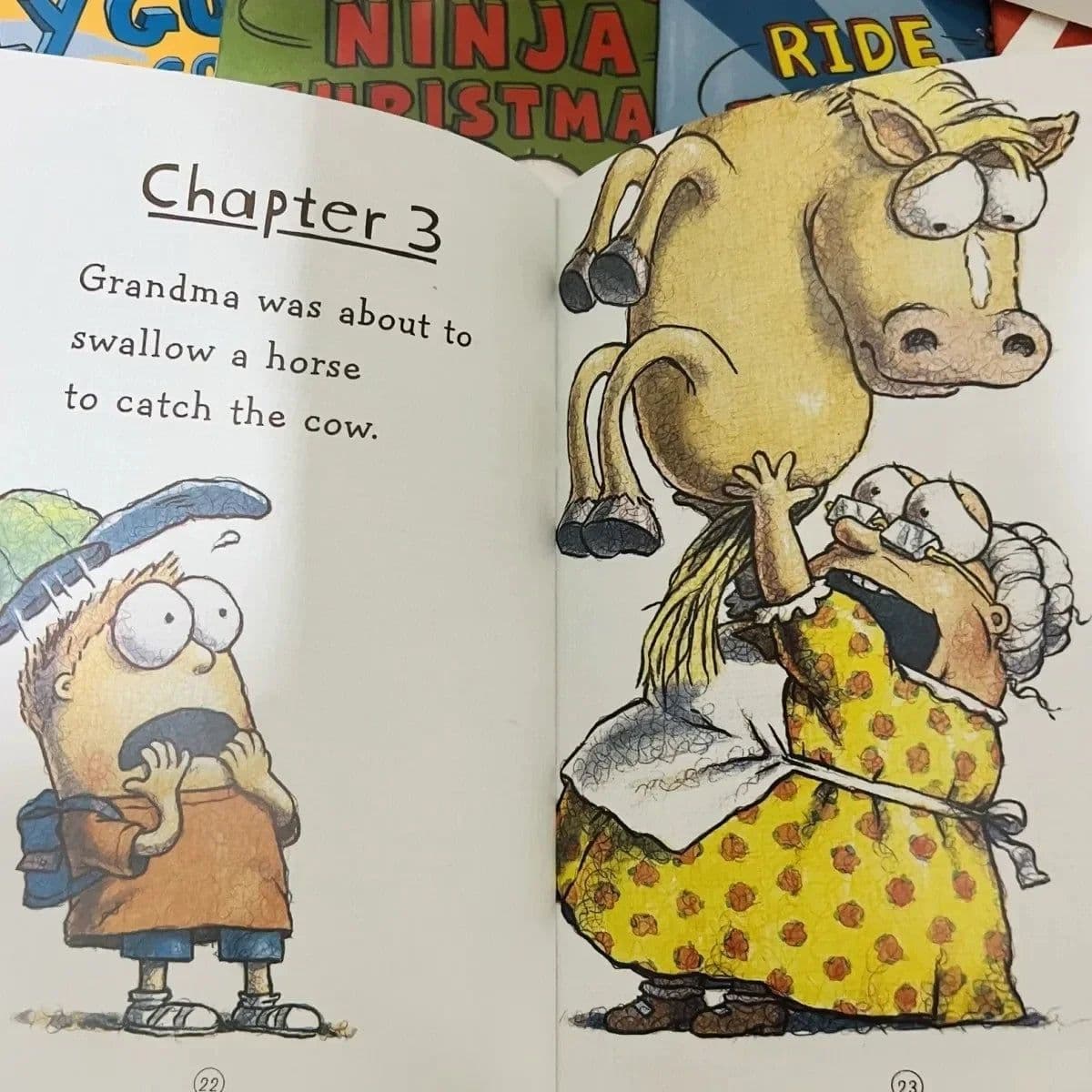 image-15 Books English Usborne Books for Children Kids Picture Books Baby Famous Story The Fly Guy Series Fun Reading Story Book