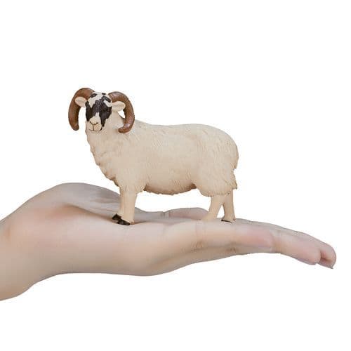 image-Black-Faced Sheep Ram Toy Realistic Farm Animal Figurine
