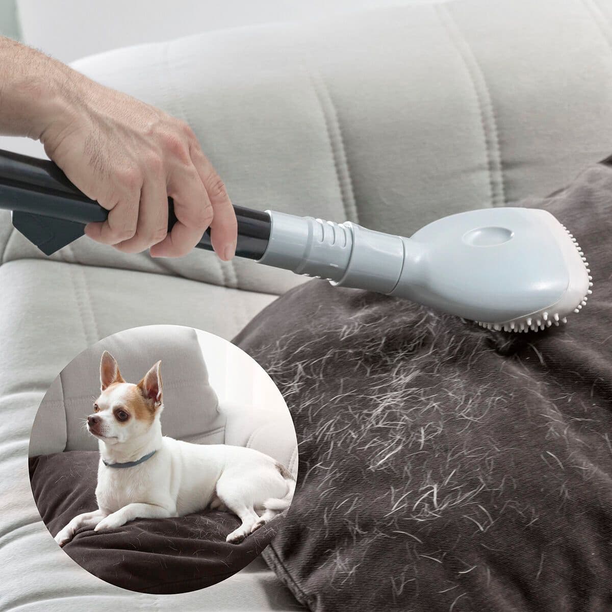 image-Vacuum Cleaner Brush Smoovah InnovaGoods