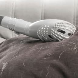 image-Vacuum Cleaner Brush Smoovah InnovaGoods
