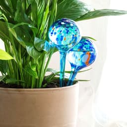 image-Automatic Watering Globes Aqua·Loon InnovaGoods 2 Units