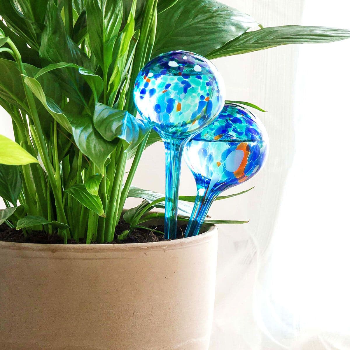 image-Automatic Watering Globes Aqua·Loon InnovaGoods 2 Units