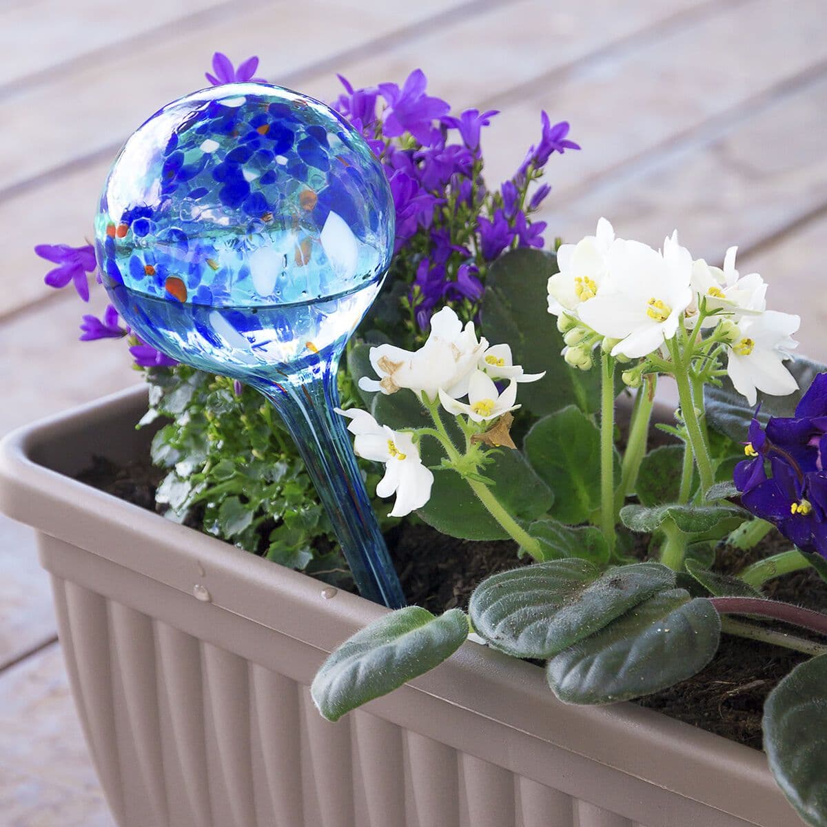 image-Automatic Watering Globes Aqua·Loon InnovaGoods 2 Units