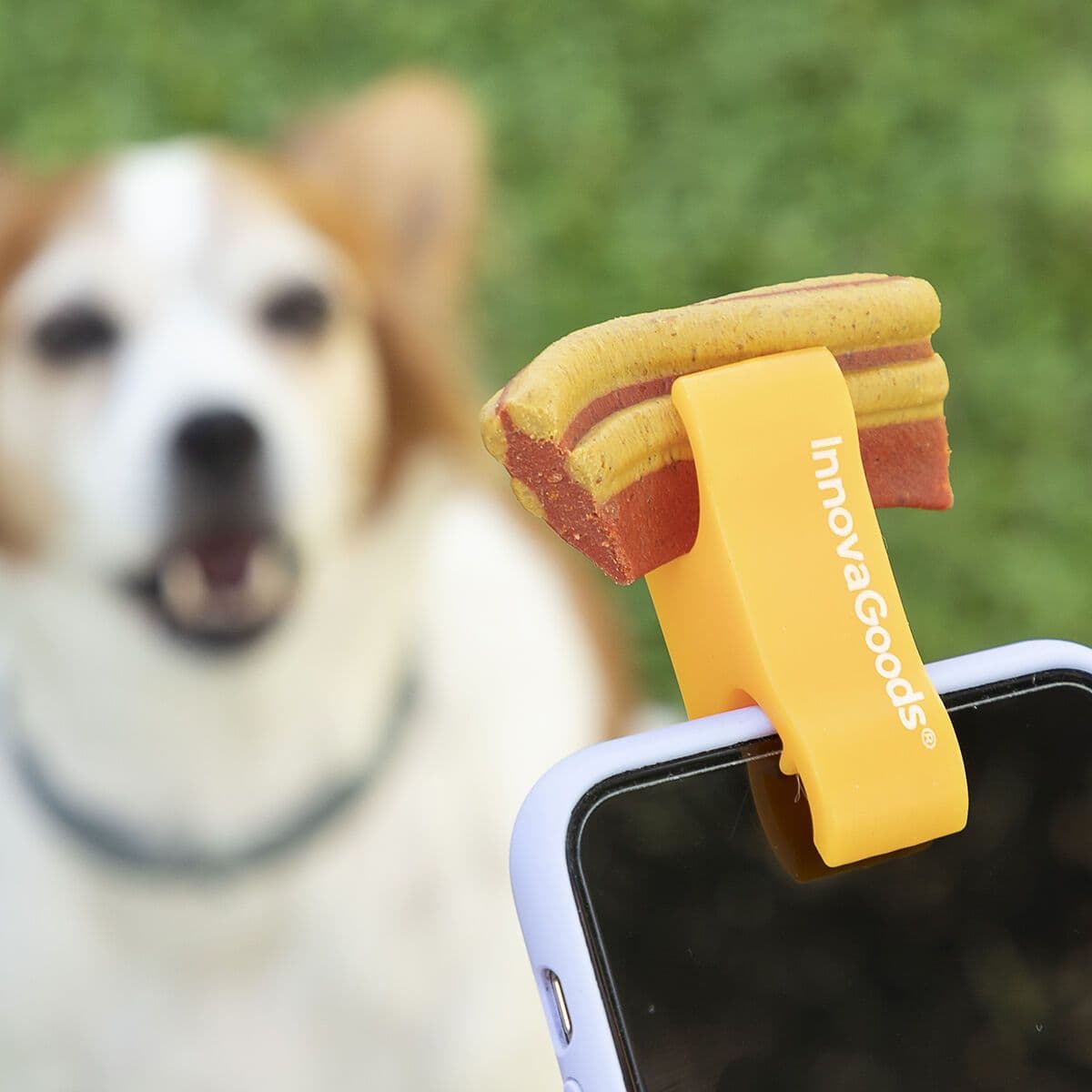 image-Selfie Clip for Pets Pefie InnovaGoods