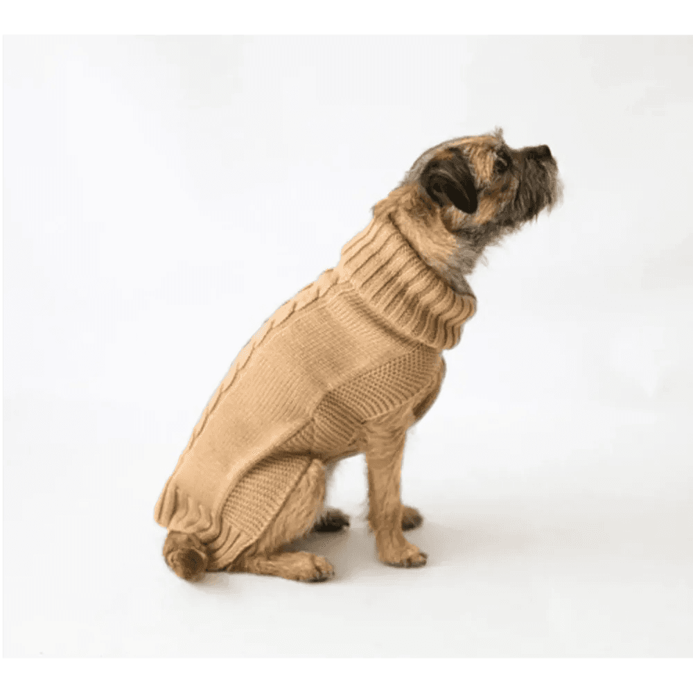 image-The Jazz Dog Jumper in Camel