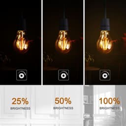 image-2 Pack A60 B22 4W Bayonet Style LED filament Retro Amber light bulb Warm white glass bulbs 2700K Light Bulbs