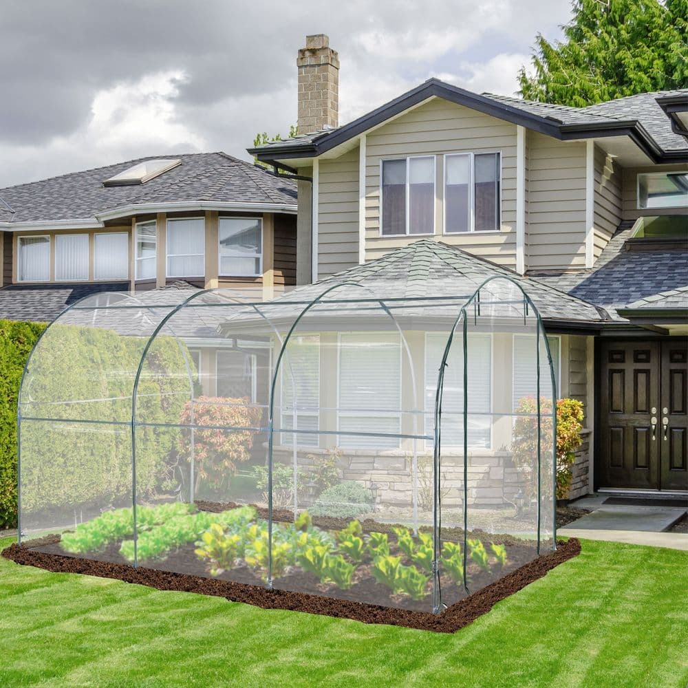 image-Walk in Transparent Greenhouse, Steel Frame